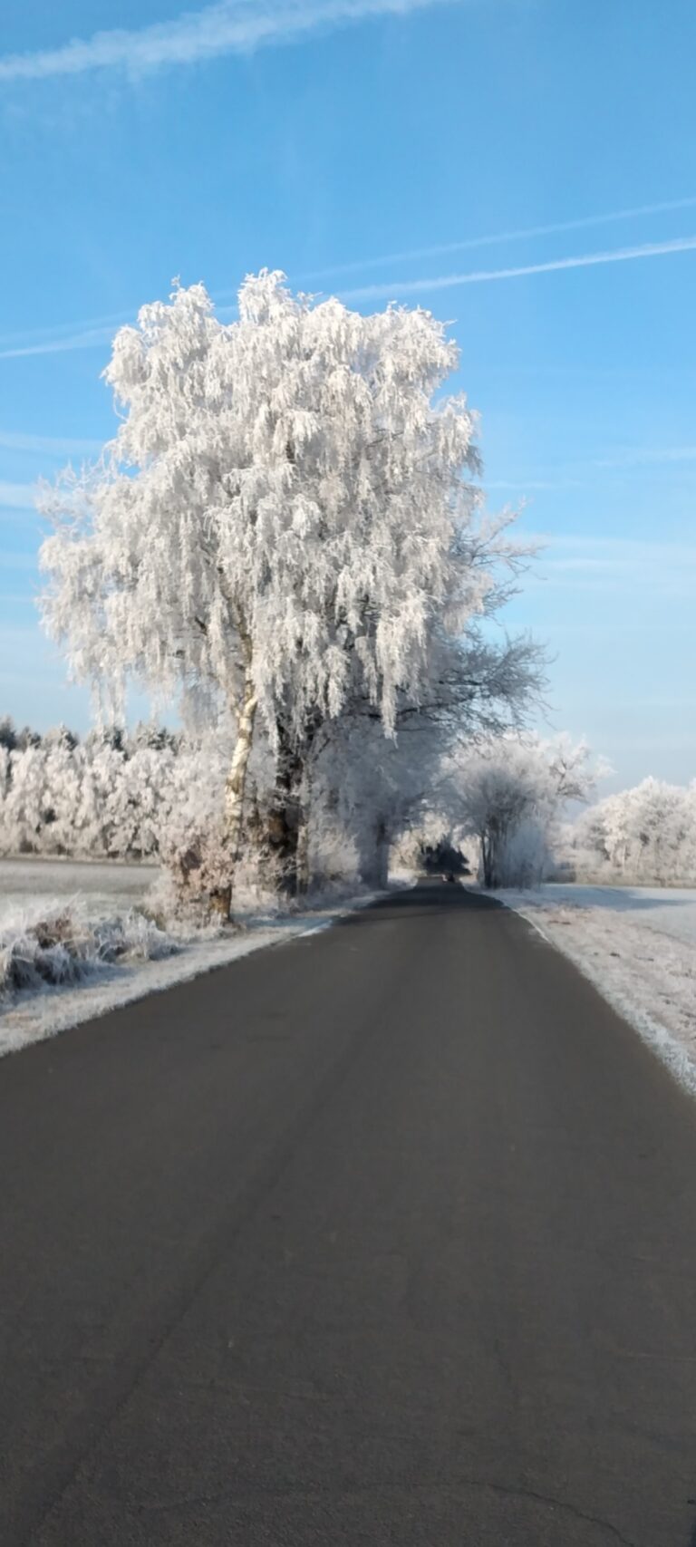 Straße in Holzhausen