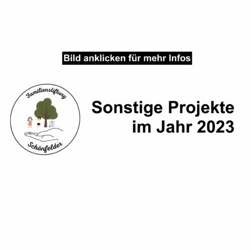 Sonstige Projekte 2023